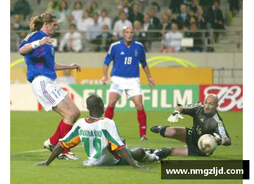 2002世界杯法国战绩？(求巴西对法国的世界杯所有战绩？)
